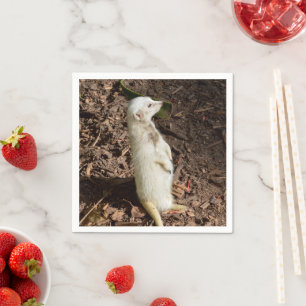 Serviette En Papier White Meerkat Standing, Papier-Party Napkins