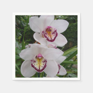 Serviette En Papier White Orchids Beautiful Tropical Flowers