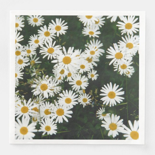 Serviette En Papier White Oxeye Daisy Meadow (Devant)