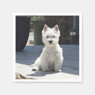 Serviette En Papier White West Highland Terrier assis sur le trottoir