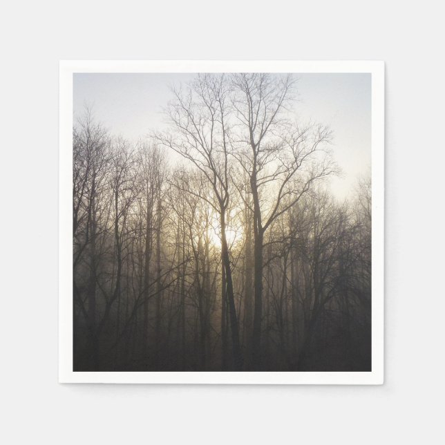 Serviette En Papier Winter Fog Sunrise Nature Photographie (Devant)