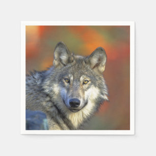 Serviette En Papier Wolf_2015_0301