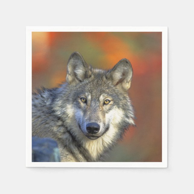 Serviette En Papier Wolf_2015_0301 (Devant)