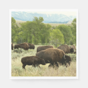 Serviette En Papier Wyoming Bison Nature Animal Photographie