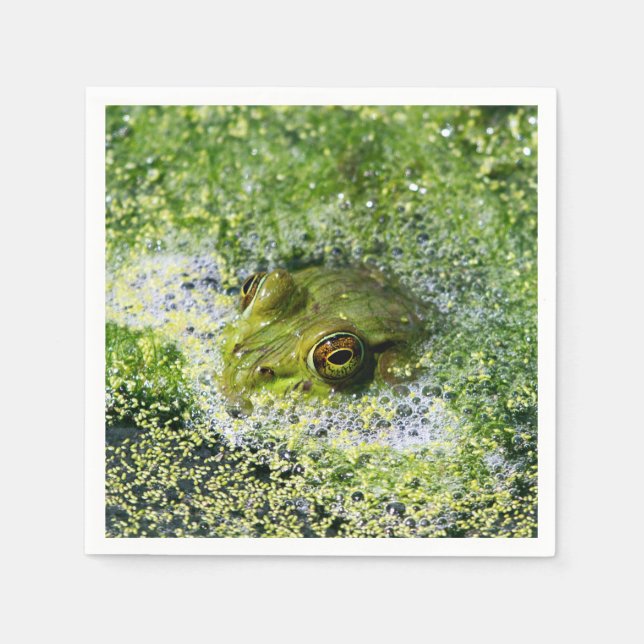Serviette En Papier Yeux de grenouille dans un étang (Devant)