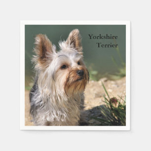 Serviette En Papier Yorkshire Terrier