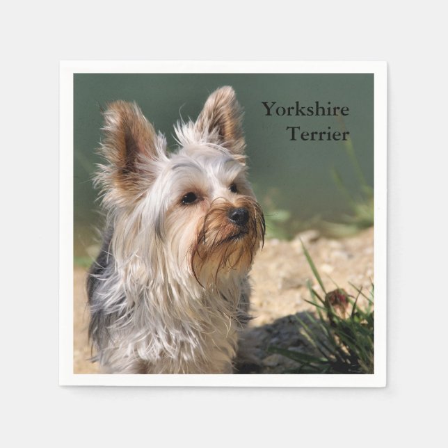 Serviette En Papier Yorkshire Terrier (Devant)