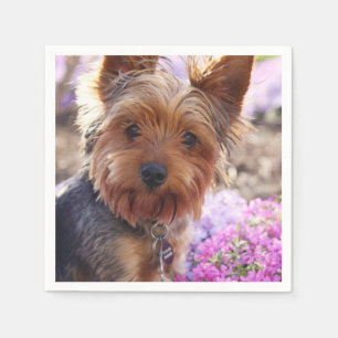 Serviette En Papier Yorkshire Terrier
