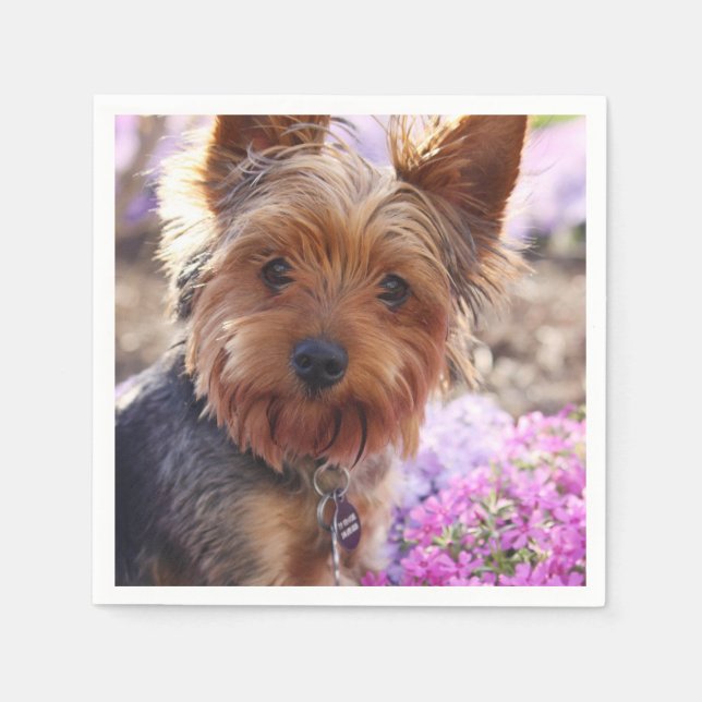 Serviette En Papier Yorkshire Terrier (Devant)