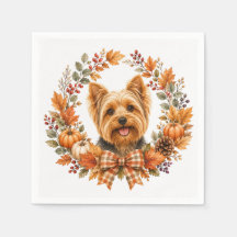 Yorkshire Terrier Automne