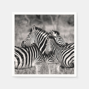 Serviette En Papier Zebra Herd Nature Safari Stripes noir et blanc