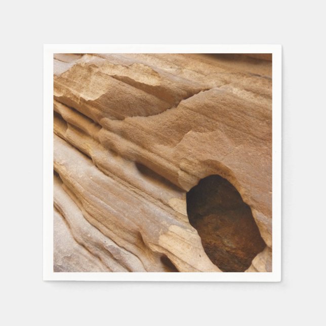 Serviette En Papier Zion Canyon Mur I Abstrait Nature Photographie (Devant)