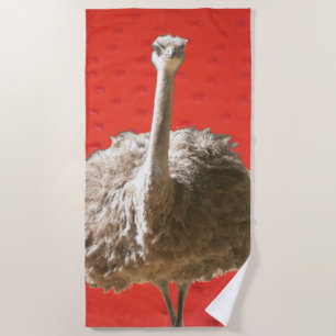Serviette sud-africaine de plage d'Ostrich
