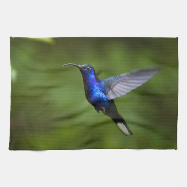 SERVIETTES DE COLIBRI (Horizontal)