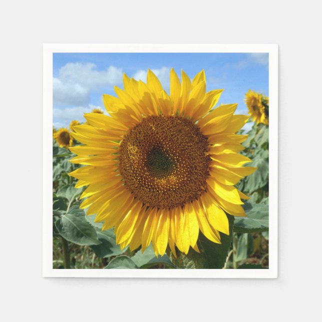 Serviettes en papier à cocktail de tournesol (Devant)