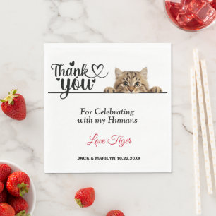 Serviettes en papier chat rayé tigre qui regarde