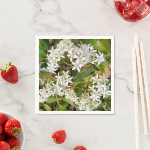Serviettes en papier Crassula ovata
