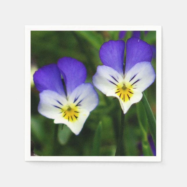 serviettes en papier deux violettes bleues mignonn (Devant)
