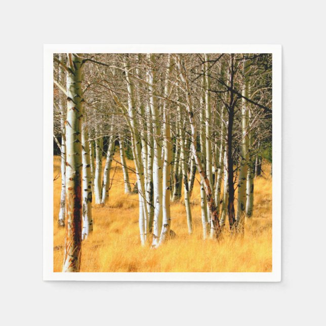 serviettes en papier en bois de peuplier (Devant)