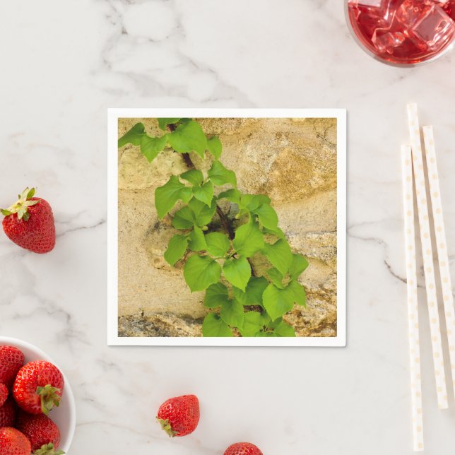 Serviettes en papier Hydrangea petiolaris (En situation)