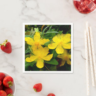 serviettes en papier Hypericum calycinum