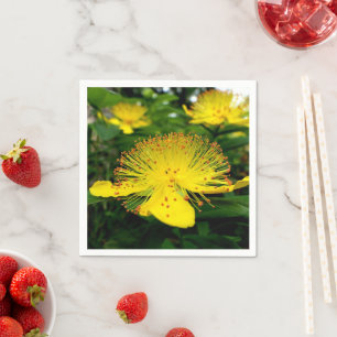serviettes en papier Hypericum calycinum