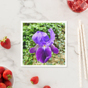 Serviettes En Papier Iris Pâtés