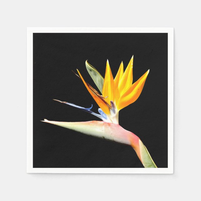 Serviettes en papier Plante Bird of Paradise (Devant)