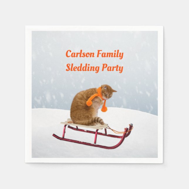 Serviettes en papier pour chat de fête de toboggan (Devant)
