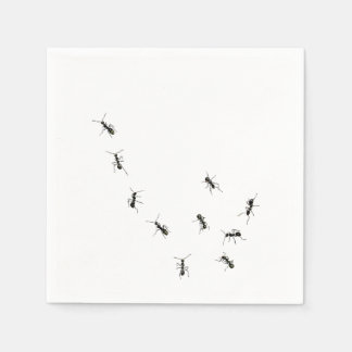 Serviettes en papier pour les fourmis