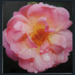 Serviettes En Tissus Pink Rose w/ Dew Drops Black Background<br><div class="desc">Rose rose avec gouttes de pluie Arrière - plan noir Apportez la beauté de la nature à toutes les occasions spéciales avec cette Rose rose populaire, Parfait pour les fiançailles mariage, fêtes de mariée, anniversaires, anniversaires, fêtes de jardin Ajouter un texte sur Produits. Tout est entièrement personnalisable. Pour ajouter/modifier le...</div>