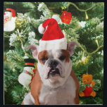 Serviettes En Tissus Santa Hat Bulldog Christmas Tree Snowman boîte cad<br><div class="desc">Mignonne photo Bulldog avec boîte cadeau de Noël Tree Snowman en arrière - plan. Un cadeau parfait pour Noël !</div>