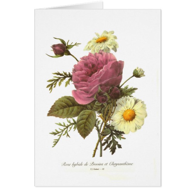 S'est levé et le chrysanthème (Devant)
