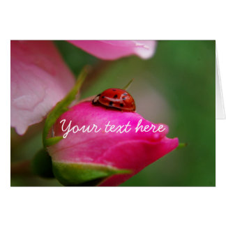 S'est levée et la coccinelle