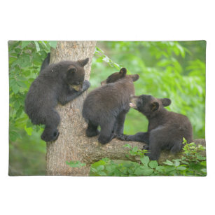 Set De Table Animaux de bébés cutest   Trois jeunes petits ours