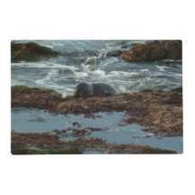 Sceau de port Lit Sunset I à San Diego