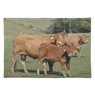Set De Table Vache et veau du Limousin