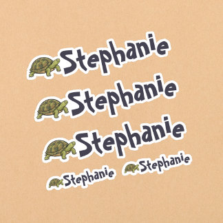 Set of 5 Cute Turtle Name Stickers