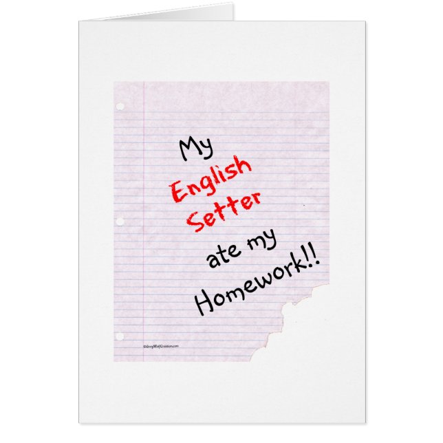 Setter Anglais Ate My Homework (Devant)