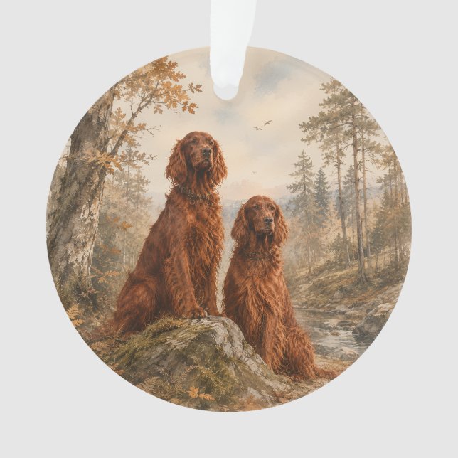 Setter irlandais   (devant)