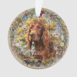 Setter irlandais - Oiseau Dog Ultimate Upland