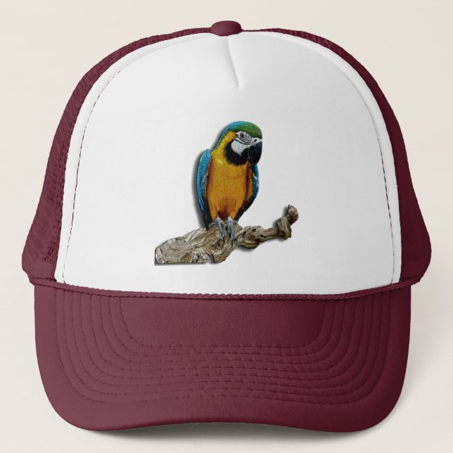 Seul casquette de perroquet orange (Devant)
