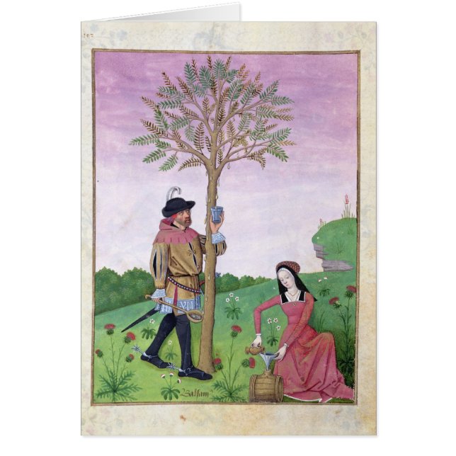 Sève de dessin d'un arbre (Devant)