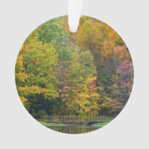 Seven Springs Fall Bridge II Autumn Paysage