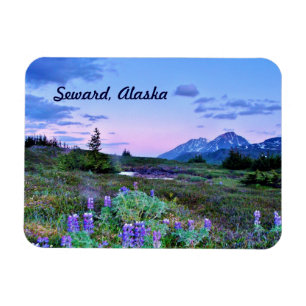 Seward, Alaska Magnet Voyage