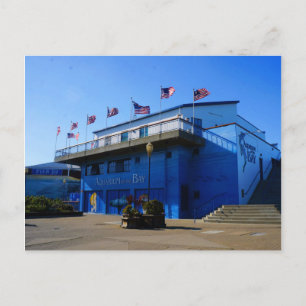 SF Aquarium of the Bay #4-2 Carte postale