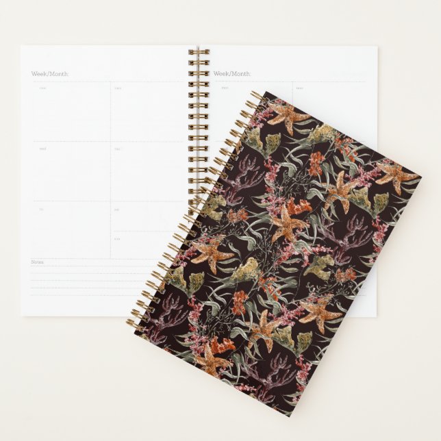 Shabby Sea Life Motif (Devant avec enveloppe)