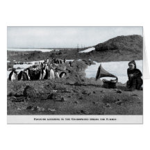 Shackleton dans le phonographe antarctique avec