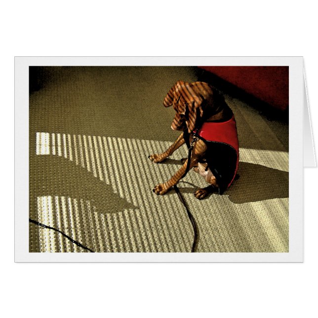 Shadowplay 1 (Devant horizontal)