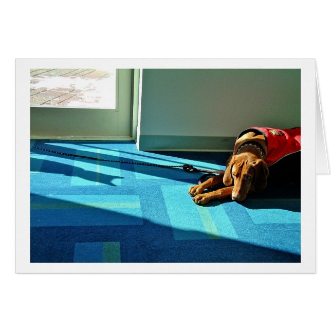 Shadowplay 2 (Devant horizontal)